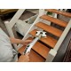 Подочистачка Kärcher FC 7  Cordless - Безкабелна почистваща система за твърди подове